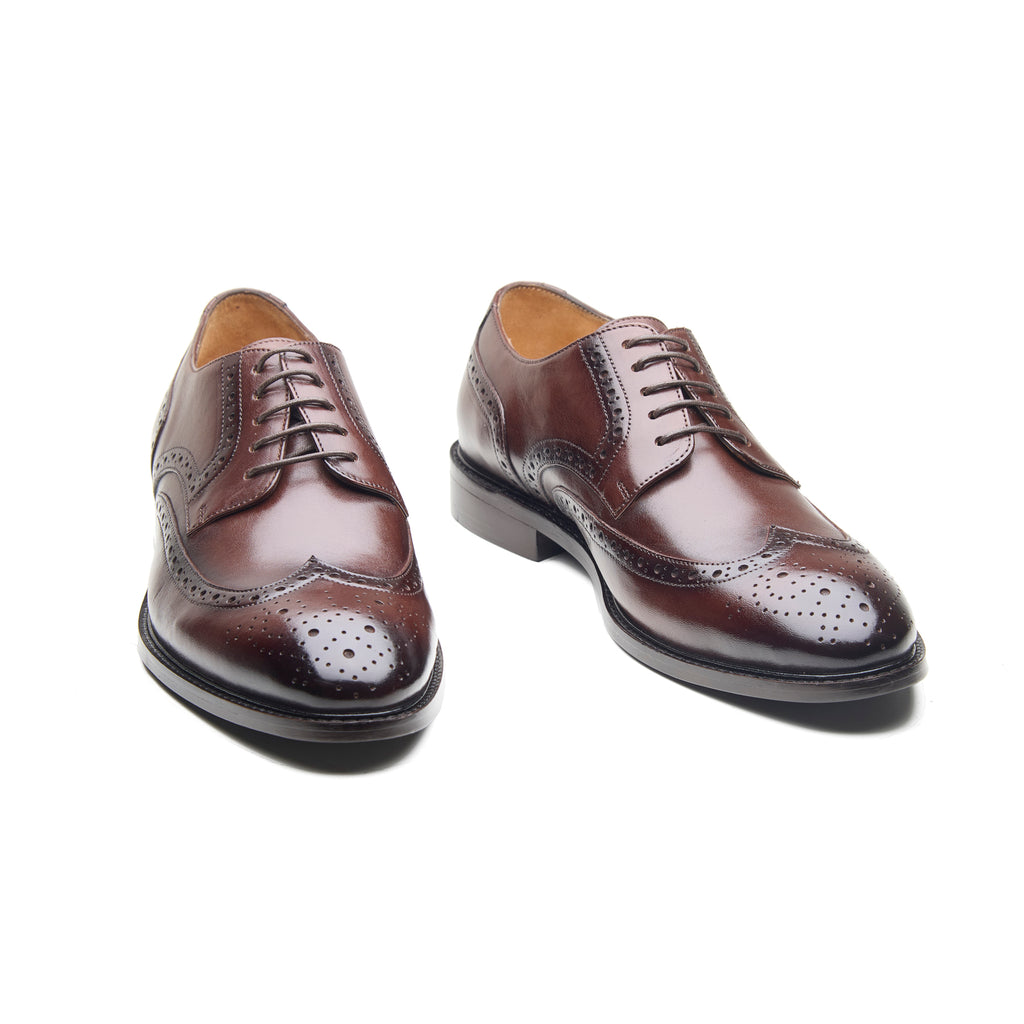 Phoenix, Wingtip Derby - Brown Crust