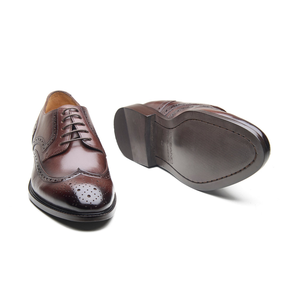 Phoenix, Wingtip Derby - Brown Crust