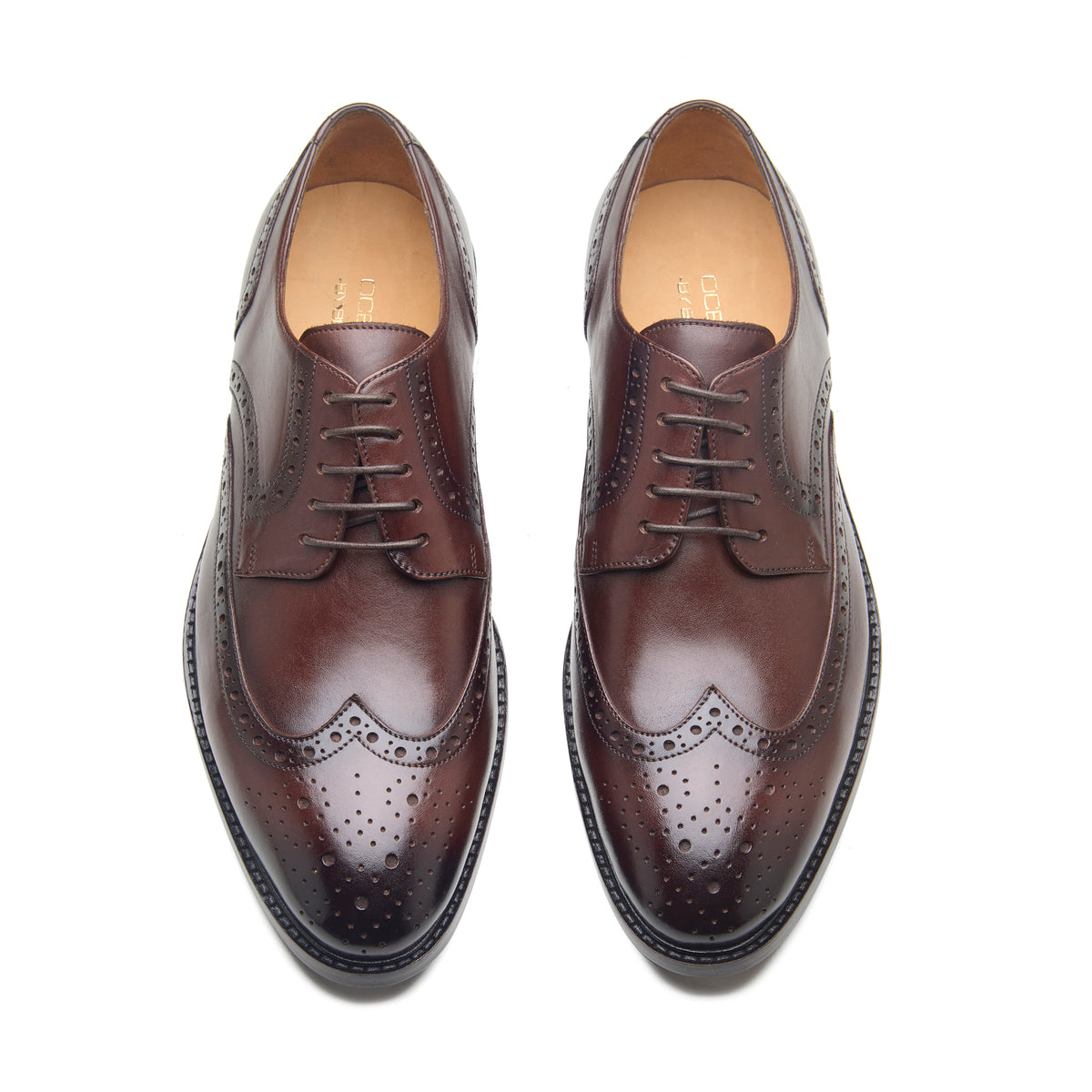 Phoenix, Wingtip Derby - Brown Crust